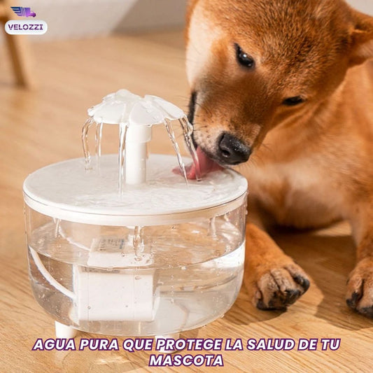 Fuente de Agua para Mascotas. - VitalDrink®