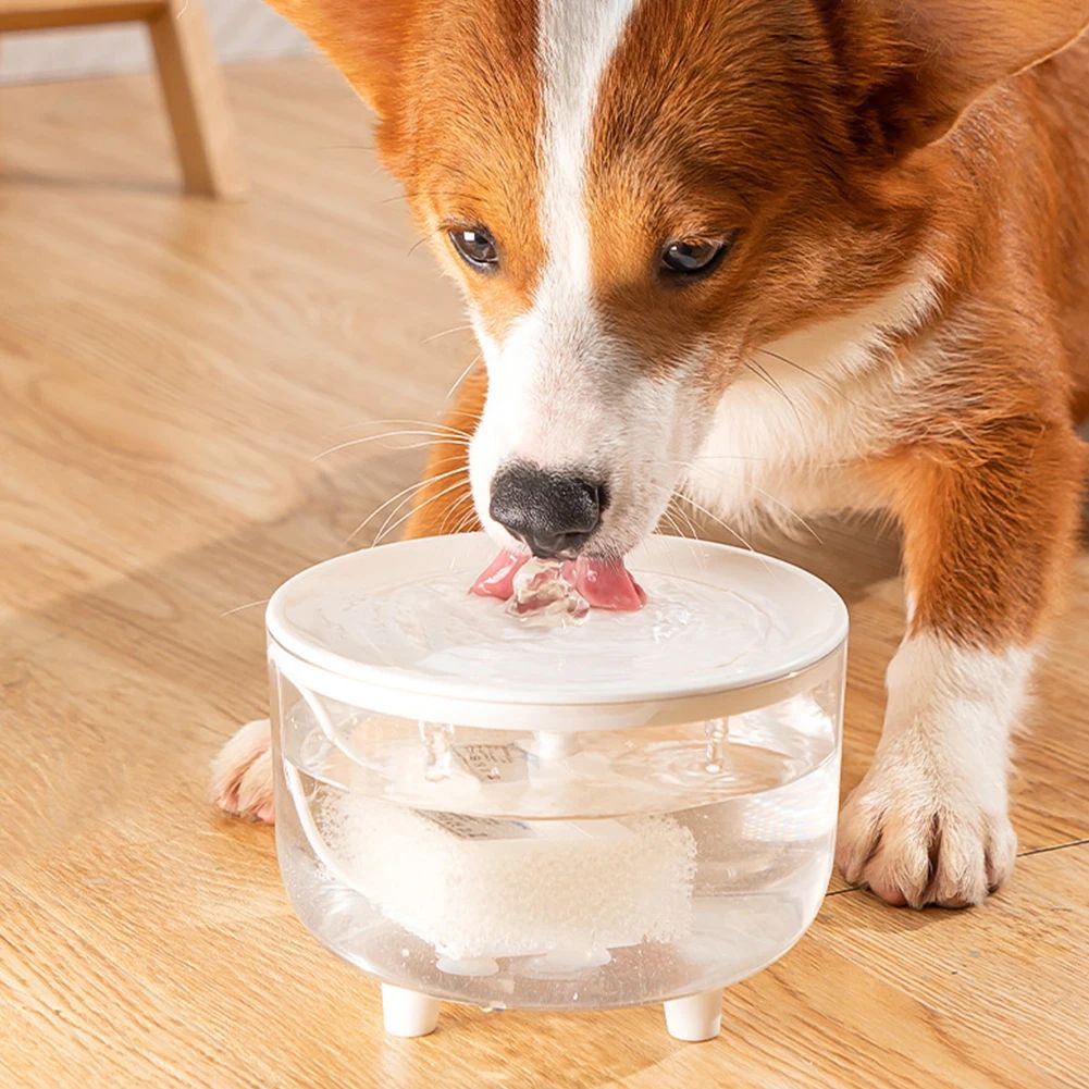 Fuente de Agua para Mascotas. - VitalDrink®
