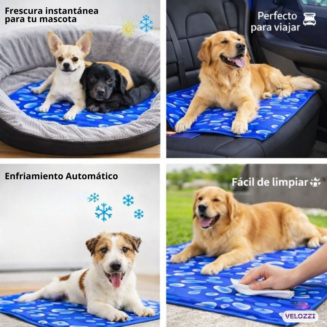 Manta refrigerante - Pet Cool Mat®